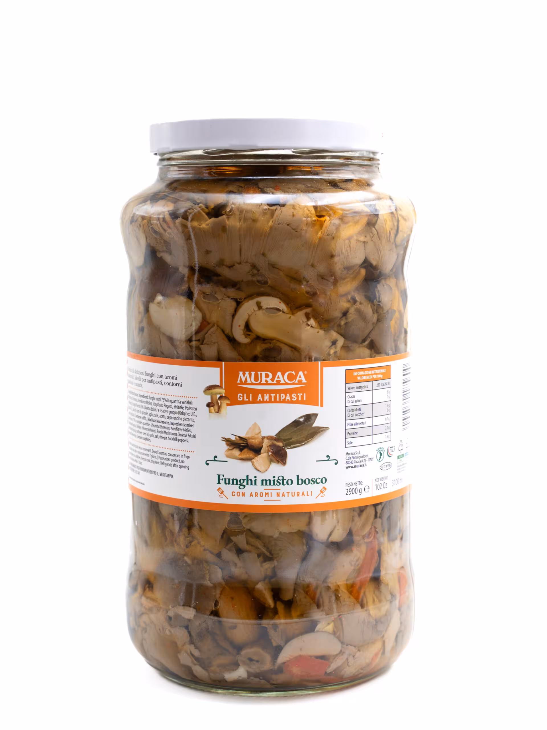 Funghi misto bosco